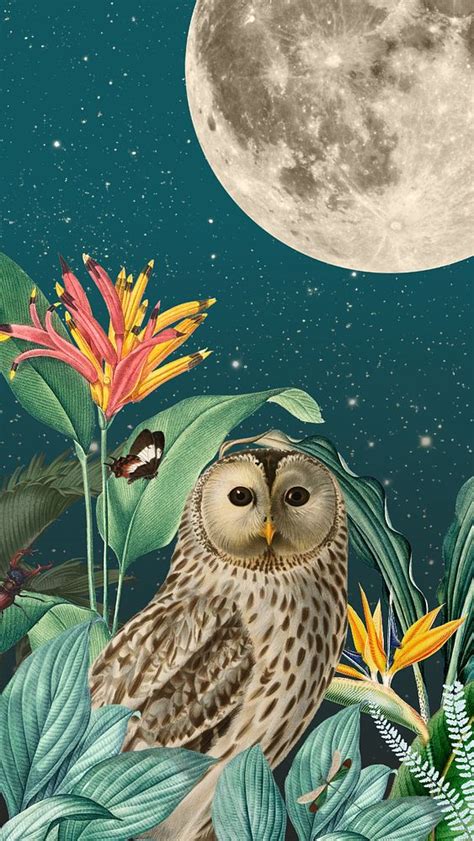 Night owl iPhone wallpaper, vintage | Premium Editable Design - rawpixel