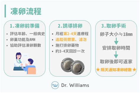 凍卵能幹嘛？凍卵費用很貴嗎？帶你1分鐘看懂凍卵流程 李毅評醫師