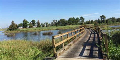 Gray Plantation Golf Course Review By Dave Daubert