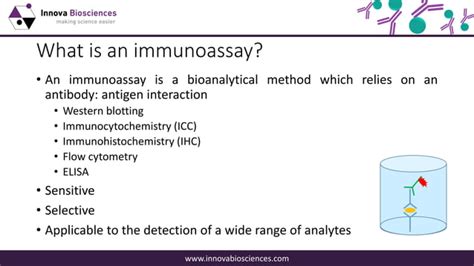 A guide to lateral flow immunoassay development