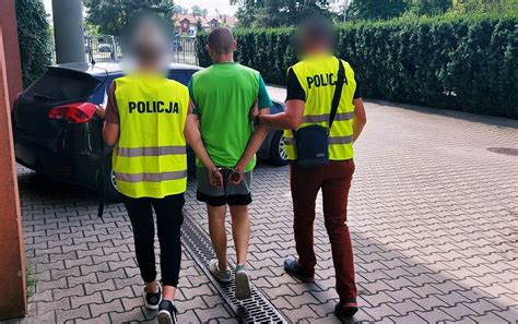 Tymczasowe aresztowanie dla plantatorów Informacje Policja Łódzka