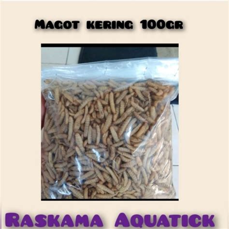 Jual Magot Kering Bsf Maggot Kering Gr Magot Kering Shopee Indonesia