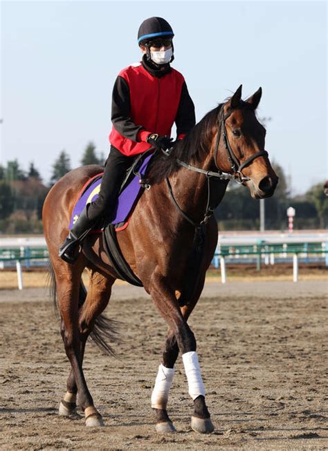 【高松宮記念】昨年3着キルロード今年も一発もくろむ 高木助手「荒れた馬場は苦にしない」 競馬 日刊スポーツ