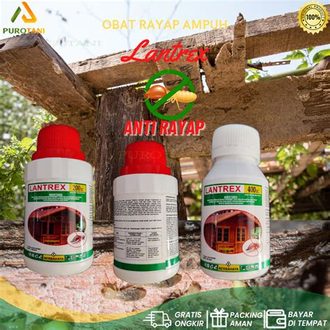 Beli Termisida Obat Rayap Lantrex Racun Anti Rayap