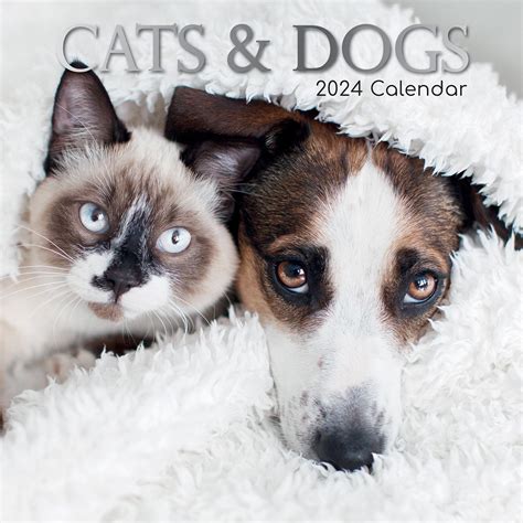 Tgsc Calendrier Mural Chats Et Chiens Mois Calendrier