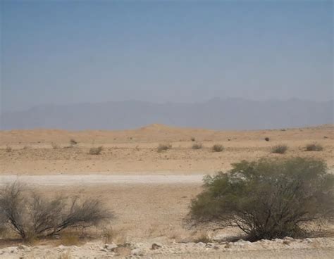 Premium AI Image Desert Mirage Beauty Amidst The Arid Wilderness