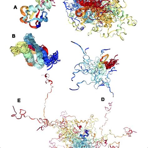 Intrinsically Disordered Proteins Often Function As Scaffold Proteins