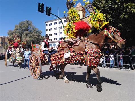 La Sfilata Dei Carretti Siciliani Sagra Del Mandorlo In Fiore