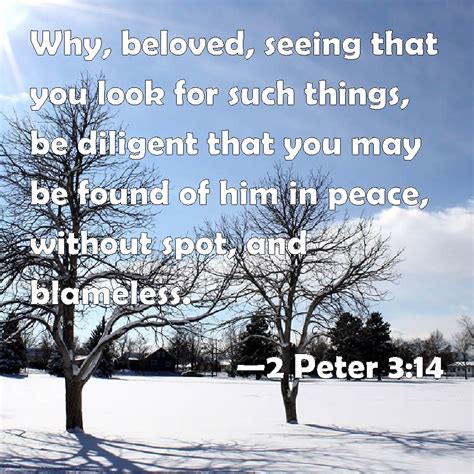 2 Peter 314 Why Beloved Seeing That You Look For Such Things Be