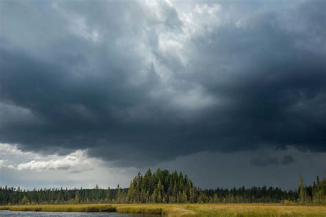 3 Reasons Why We Need To Protect Minnesota Wetlands From Polymet