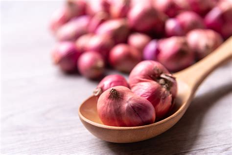 Onion Export From India Fresh Onions Export Data Exporters Of In