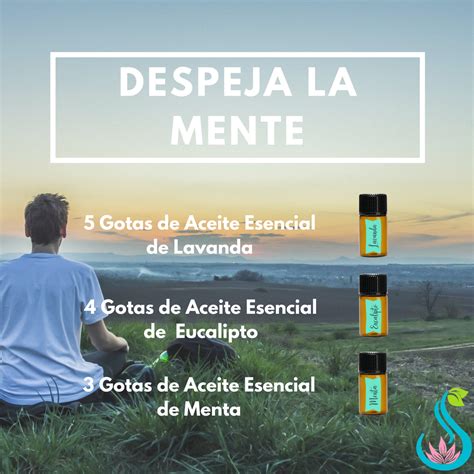 Mezcla Para Difusores De Aromaterapia Despeja La Mente Recetas De