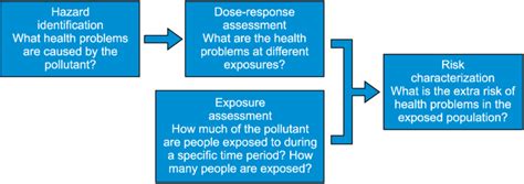 Four Steps Of Risk Assessment Explained