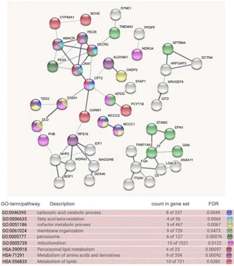 多组学联合分析之，蛋白组学和脂质组学联合揭示环境污染对大西洋鳕鱼的影响 哔哩哔哩