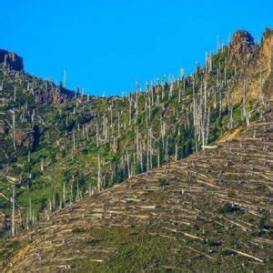 Day TourMt St Helens Natl Monument Evergreen Escapes