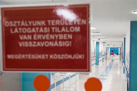 Interferáló vírusok azaz a kórokozók egymással is küzdenek hogy