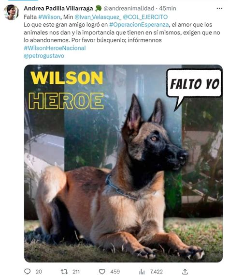 Conflicto Armado Dificulta La Búsqueda De Wilson Aseguran Las Fuerzas Militares Sobre Perro