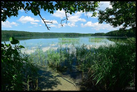 Jezioro Białe Wigierskie Białe Wigierskie Lake 2011 07 1 podgor