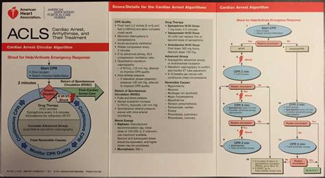 The Ultimate Guide To Acls Exam Version A Answers Everything You Need