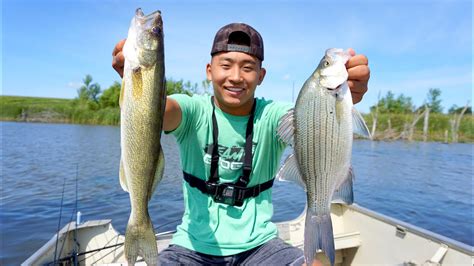 Delicious Walleye Catch Clean Cook Bonus White Bass Youtube