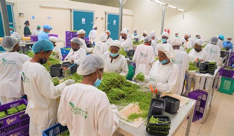 New Packhouse To Strengthen Horticulture Value Chains In Rwanda The