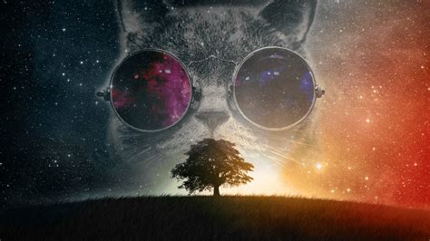 Glasses Cat Galaxy HD Wallpapers - Top Free Glasses Cat Galaxy HD ...