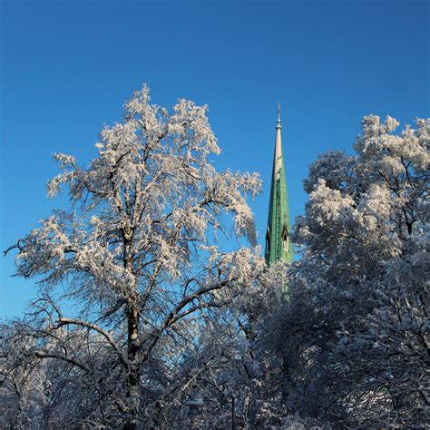 Free Images Tree Nature Branch Mountain Snow Cold Winter