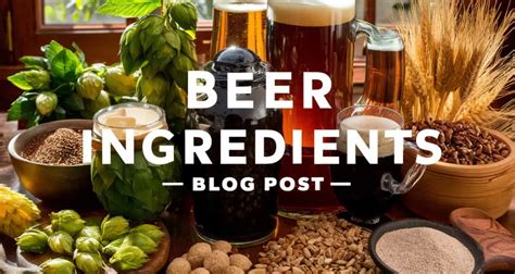 Beer Ingredients - A List of Essentials - People Power Beer