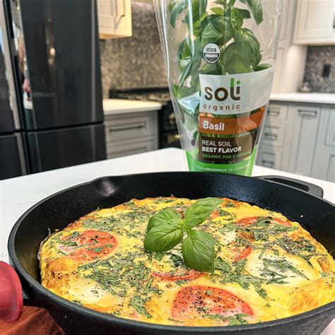 Basil Mozzarella Tomato Frittata Soli Organic