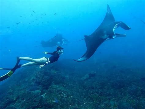 9 Tempat Snorkeling Di Bali Dengan Pemandangan Paling Cantik