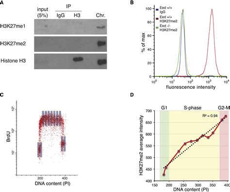 Polycomb Dependent H3k27me1 And H3k27me2 Regulate Active Transcription