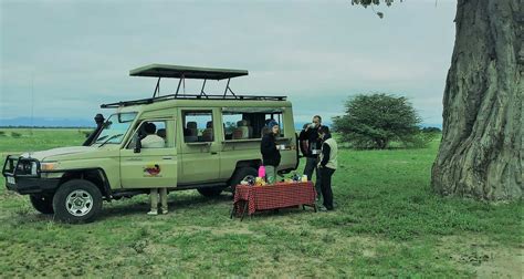 Days Tanzania Safari Packages Days Tanzania Tours