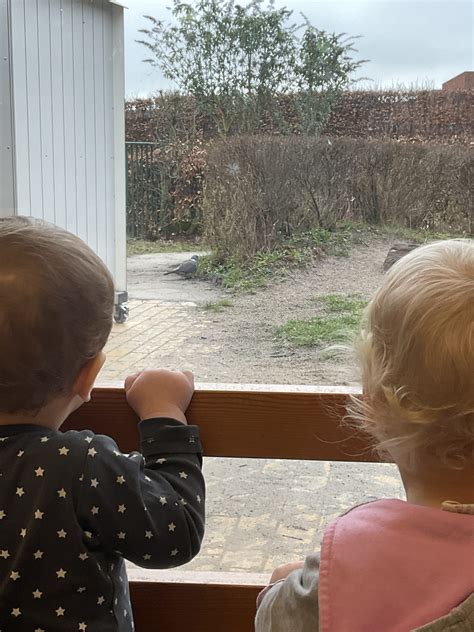 Vogels Kijken Doomijn Kinderopvang