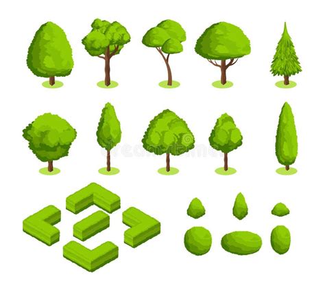 等量3d传染媒介公园和庭院树和灌木 绿色森林种植汇集 向量例证 插画 包括有 庭院 收集 灌木 玻色子 112519749