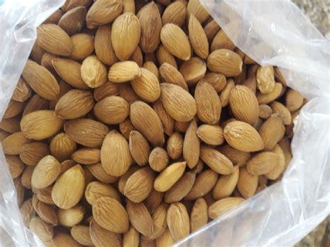 Almond Mamra Shelf Life 2years At Rs 850 Kg In Pulwama ID 5953081