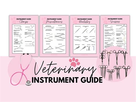 Veterinary Instrumentation Guide Surgical Instrument Poster Digital Download 8 Page Etsy