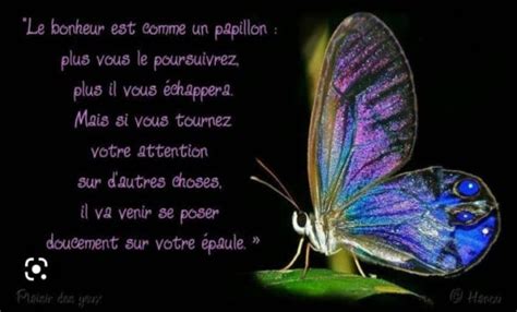 Le bonheur est comme le papillon Inspirations pour réussir sa vie