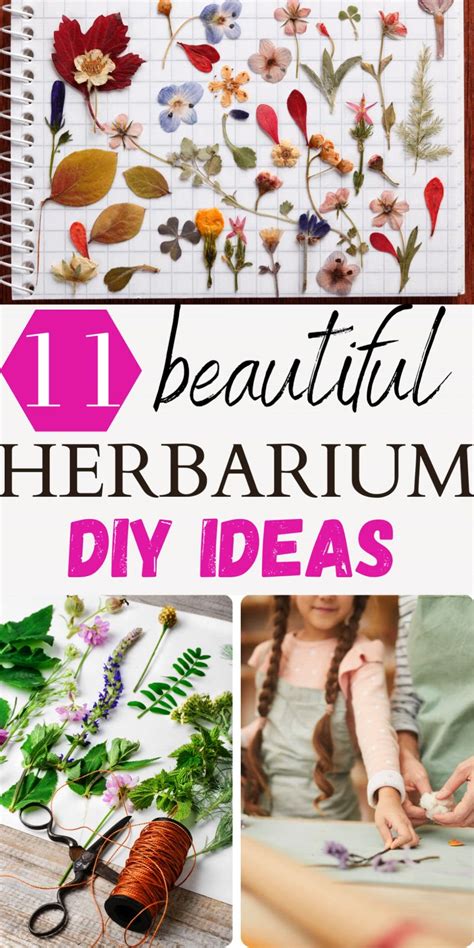 Make Your Own Herbarium The Easy Way En 2024 Herbario Disenos De Unas