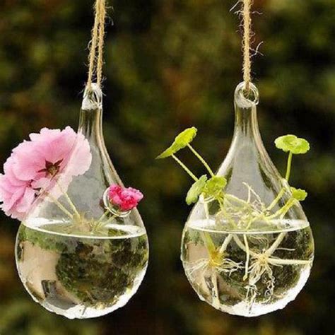 Hanging Glass Hydroponic Flower Planter Vase Terrarium Container Home — Jack Seeds