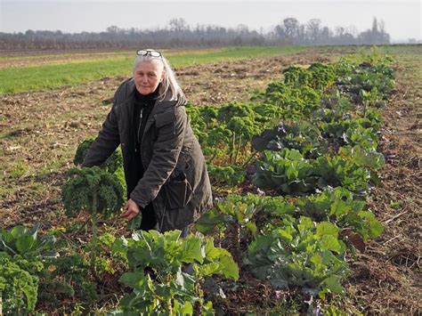 Rudolf Steiner Otac Biodinamičke Poljoprivrede Budućnost Na Zemlji