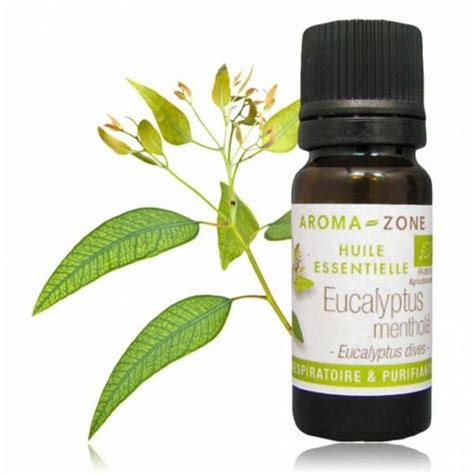 Aroma Zone Huile Essentielle Eucalyptus Menthole Bio Aya L Ya