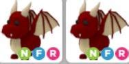 Beli Pet Dragon Nfr Roblux Store Adopt Me Roblox Trading Hub