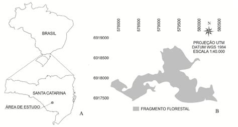 Localiza O Geogr Fica A Do Fragmento De Floresta Ombr Fila Mista