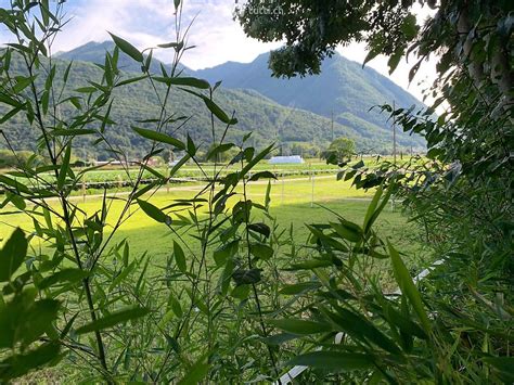 Ferien Mit Dem Pferd Im Tessin Im Kanton Tessin Tutti Ch