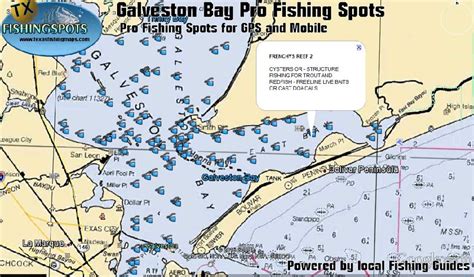 Galveston Bay Fishing Map - Living Room Design 2020