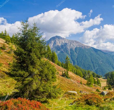 vegetación de montaña bosques verdes y exuberantes el pulmón de la