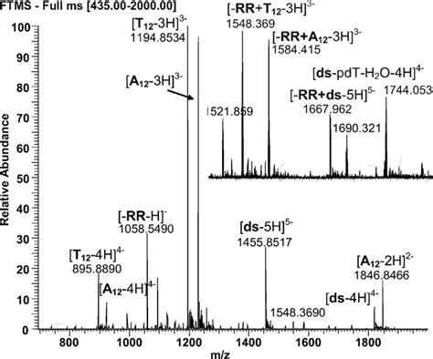 Negative Esi Mass Spectrum Of A T Duplex And Rr Peptide Equimolar