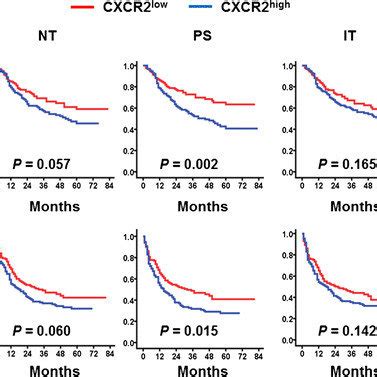 Accumulation Of CXCR2 Cells Predicts Poor Survival In HCC OS Top