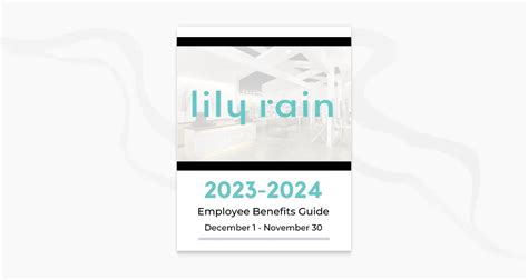 Lily Rain 2023 2024 Employee Benefits Guide