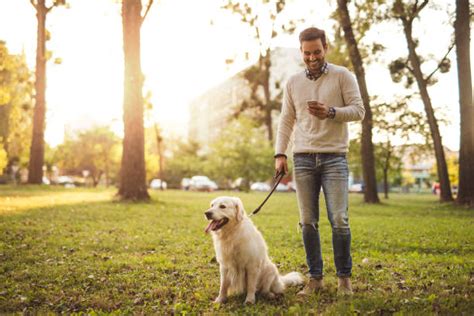 5200 Man Walking In Park On Phone Stock Photos Pictures And Royalty